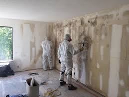 Why You Should Choose Our Mold Remediation Services in Geraldine, AL